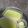 Cooksnap dari nimas ayu nur z untuk resep Bolu kukus pandan (no mixer)