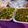 Waffa Omar's cooksnap of when they made تبولة لبنانية.