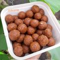 Itikona Banerjee's cooksnap of when they made নারকেল নাড়ু (narkel naru recipe in Bengali).