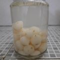 Cooksnap dari Neneng Fajriyah untuk resep Acar Bawang Putih Tunggal