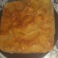 El cooksnap de Talia Rendon cuando hizo Torta invertida de manzanas en essen.