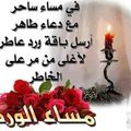 صورة من أولادي كل حياتي ام معتز ، شاركها بعد تجربة وصفة كبه مقليه من دون لحمه وبدون ماكنه