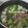 Cooksnap dari Tri Ismi untuk resep Kuah Bakso