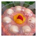 Cooksnap dari Evi Ayuningtyas untuk resep Puding Leci / Lychee  Pudding