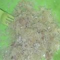 Cooksnap dari aliyapeliyang untuk resep Bihun goreng