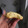 El cooksnap de silvina cuando hizo Galletitas de avena y coco😍.