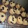 Cooksnap dari Clara Satya untuk resep "Banana Muffin" simple, moist, no mixer