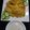 Bushra Mazhar's cooksnap of when they made Yummy Biryani.