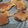 Cooksnap dari Asih untuk resep Taiyaki isi Coklat