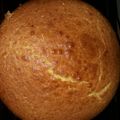 El cooksnap de Felicia Fernandez cuando hizo Bizcochuelo de naranja.