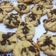 Cooksnap dari irianti mega bestari untuk resep Oatmeal Cookies "Magic Com"