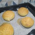 il Ben Nutrirsi - Dott.ssa Francesca Maria Tornatore quando ha preparato Burger buns integrali con lievito madre