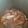El cooksnap de Manolo Guerrero cuando hizo Costillas de cerdo en salsa al Pedro Ximénez.