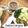 รูป Cooksnap ของ POMMY KITCHEN เมื่อเขาทำ น้ำพริกกะปิ ไข่เจียวชะอม ปลาทูทอด