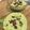 El cooksnap de jmdkas cuando hizo Salmorejo verde light de aguacate en Thermomix.