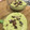 El cooksnap de jmdkas cuando hizo Salmorejo verde light de aguacate en Thermomix.