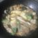 Cooksnap dari Fitria Sari untuk resep Tumis jamur kuping spesial