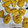 El cooksnap de Amparo Arago cuando hizo Buñuelos de calabaza típicos valencianos.