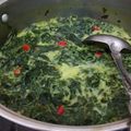 Cooksnap dari aisyah retno untuk resep Daun Ubi tumbuk