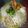 Cooksnap dari ClaraDevira untuk resep 83. Soto Ayam Bening