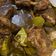 Cooksnap dari Laely Hidayati untuk resep Ayam Kecap Panggang Oven