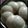 Medha Sharma's cooksnap of when they made ইডলি আর নারকেলের চাটনি(Idli and chutney recipe in Bengali).