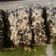 Cooksnap dari Uma Zalma Isba untuk resep Brownies Kukus Simple