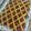 El cooksnap de César Antelo Davila cuando hizo Pasta Frola.