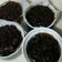 Samantha 的 古早冬瓜茶蜜磚 cooksnap