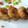 Sanas Lifestyle (SaranyaElamparuthi)'s cooksnap of when they made மீதமான சாதத்தில் வடை.