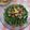 Cooksnap dari Debora Dwi untuk resep Oseng Kangkung Original