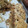 El cooksnap de Leticia Montes De Oca cuando hizo Torta de nuez y coco. Sin gluten.