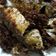 Cooksnap dari Ny. Miftah untuk resep Ikan selar goreng bumbu lengkuas