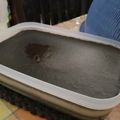 Cooksnap dari Ayoe Dije untuk resep Kue Lapis Tepung Beras