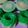 Cooksnap dari Puput Handayani untuk resep Kue Talam Pandan Hijau