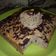 Cooksnap dari Andani untuk resep Eggless Raisin Banana Cake