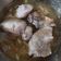 Cooksnap dari Badoci untuk resep Ayam Kukus Jahe