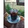 Cooksnap dari Miss Daroinie untuk resep Americano Honey