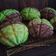 Cooksnap dari Baking With 'Otang' untuk resep Sourdough Melon Pan