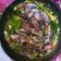 Cooksnap dari Mama Echa untuk resep Cumi cumi masak hitam