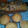 El cooksnap de Belen Arias cuando hizo Muffins de vainilla y cubierta de coco🤓.