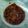 Cooksnap dari Bagus Aji untuk resep Sambel Tomat Terasi Matang