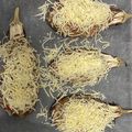El cooksnap de Nerea Crespo Camacho cuando hizo Berenjena rellena de carne, verduras y bechamel.