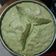 Cooksnap dari Livie Cung untuk resep Bolu Kukus Pandan