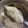 pragya bharti's cooksnap of when they made Thandai powder.