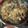 El cooksnap de Eduardo Agudo Alba cuando hizo Spaghetti de merluza Pescanova con almejas del Pacífico y variado de setas.