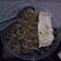 Cooksnap dari nabilah putri untuk resep Colorful Vegetarian Noodles