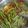 Cooksnap dari leeza liza untuk resep Sayur kacang panjang asam manis simple