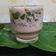 Cooksnap dari Lionie Adi untuk resep Grass Jelly Milk Brown Sugar