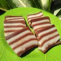 Cooksnap dari Sabrina Wahyu Kirana untuk resep Kue Lapis
